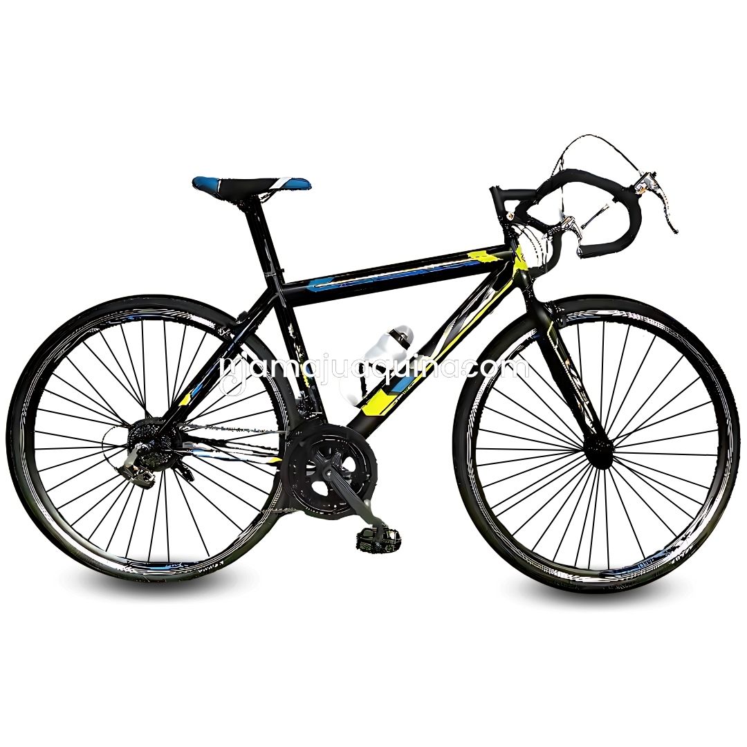 PALMEIRA RACER 2