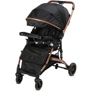 Coche Maleta de Paseo Dashi Mango Reversible